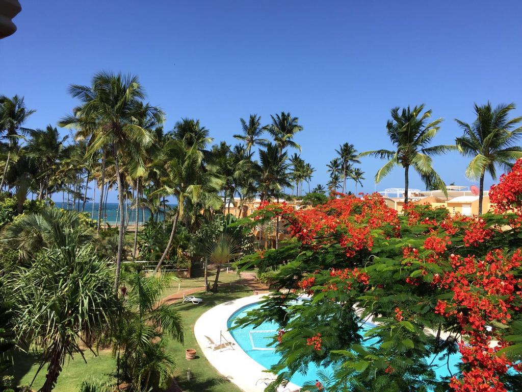 Don Cesar Aparthotel Las Terrenas Luaran gambar